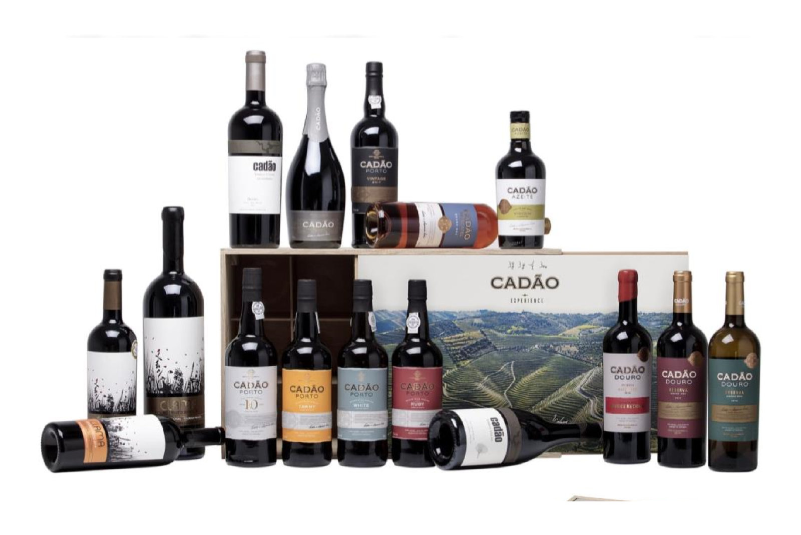 Pack Vinhos #7